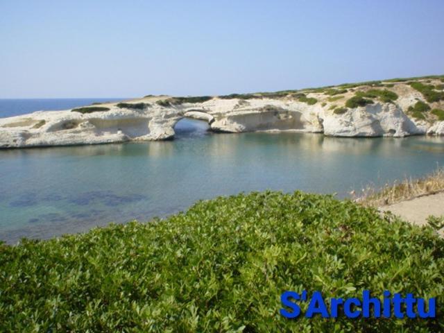 La Terrazza Sul Mare Apartment ตอร์เร กรานเด ภายนอก รูปภาพ